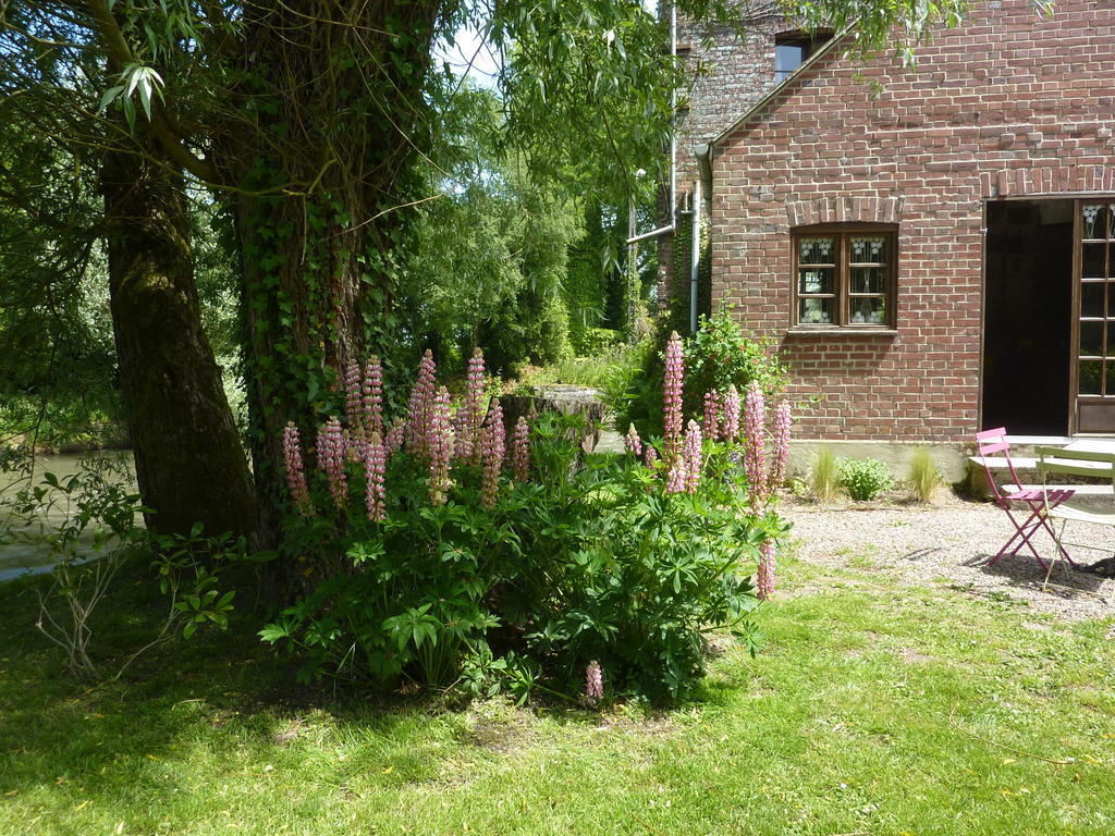 狄格妮穆林住宿加早餐旅馆 Tigny-Noyelle 外观 照片