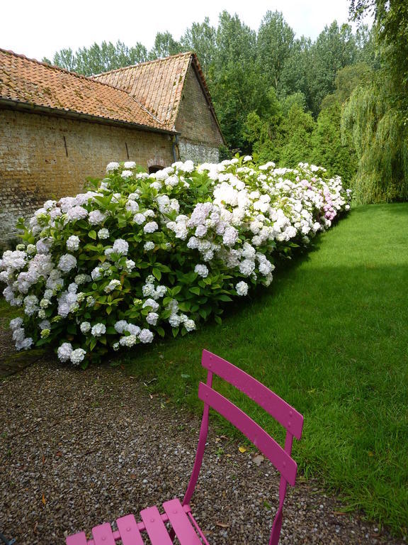 狄格妮穆林住宿加早餐旅馆 Tigny-Noyelle 外观 照片