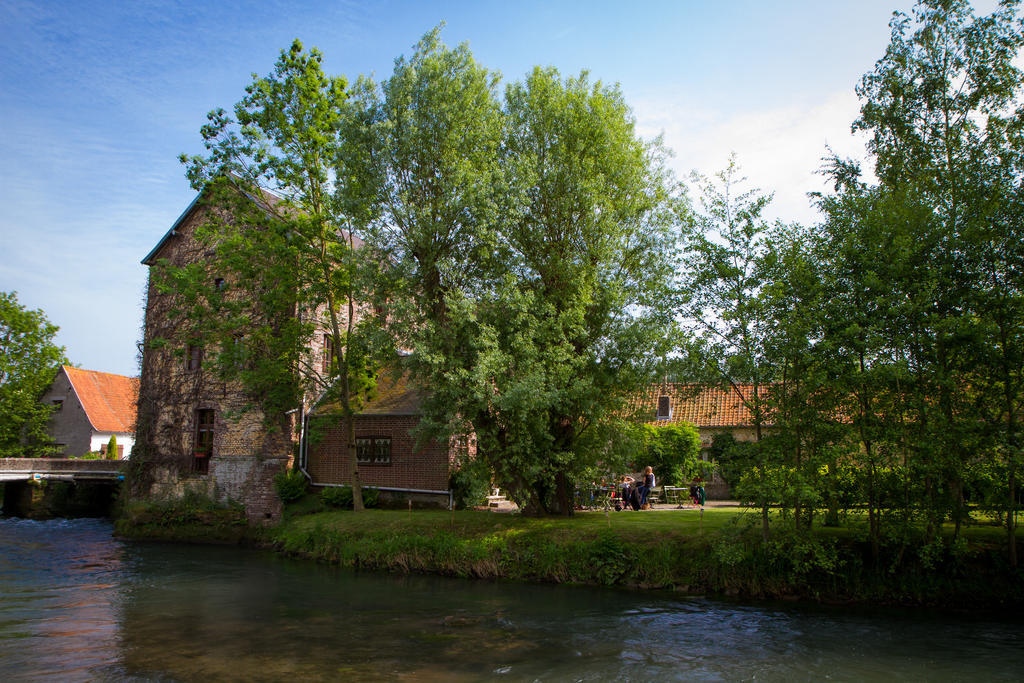 狄格妮穆林住宿加早餐旅馆 Tigny-Noyelle 外观 照片