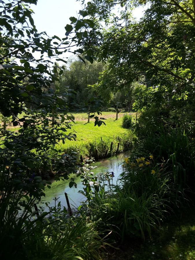 狄格妮穆林住宿加早餐旅馆 Tigny-Noyelle 外观 照片